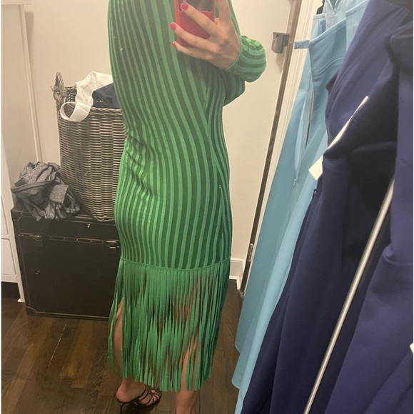 Ronny Kobo Adkins Knit Fringe Midi Dress - Picture 8 of 10